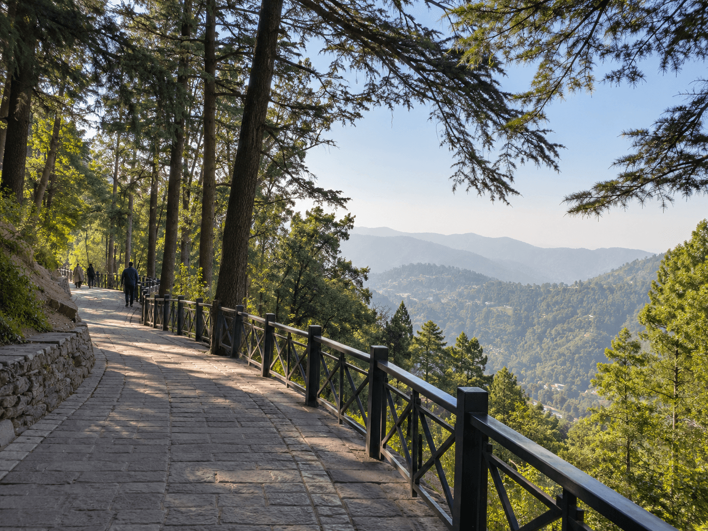 A third scenic view of Chinar Resort
