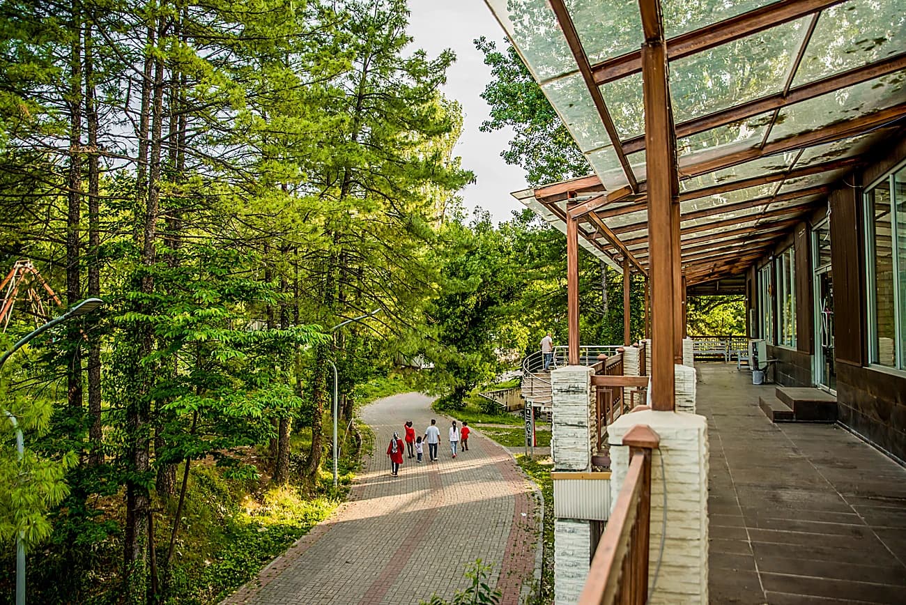 A picnic area beneath the trees at Chinar Resort