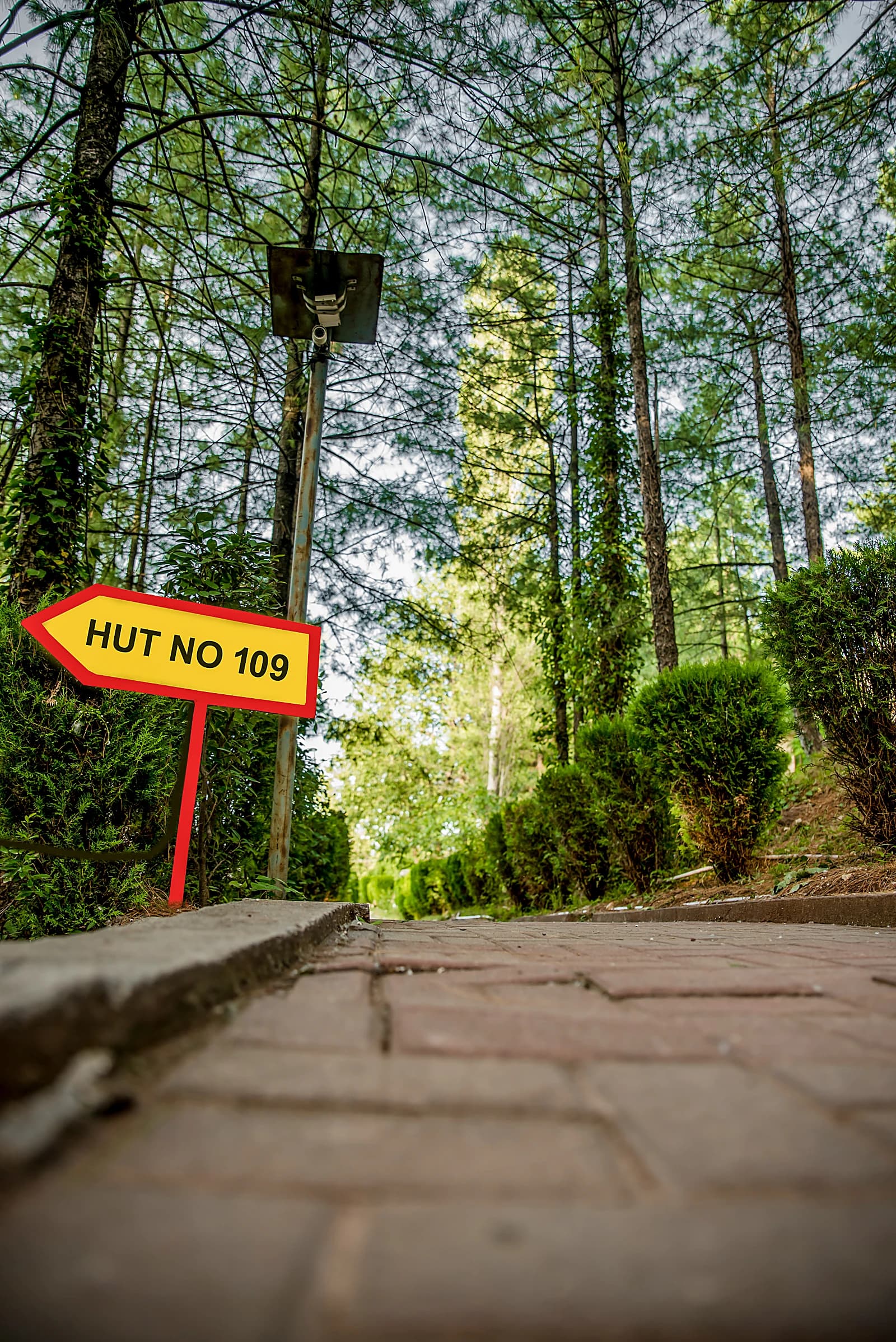 Wayfinding through the grounds at Chinar Resort